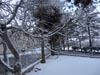 Wallpaper - Quetta Snowfall January 2012 (4) - 4608 x 3456